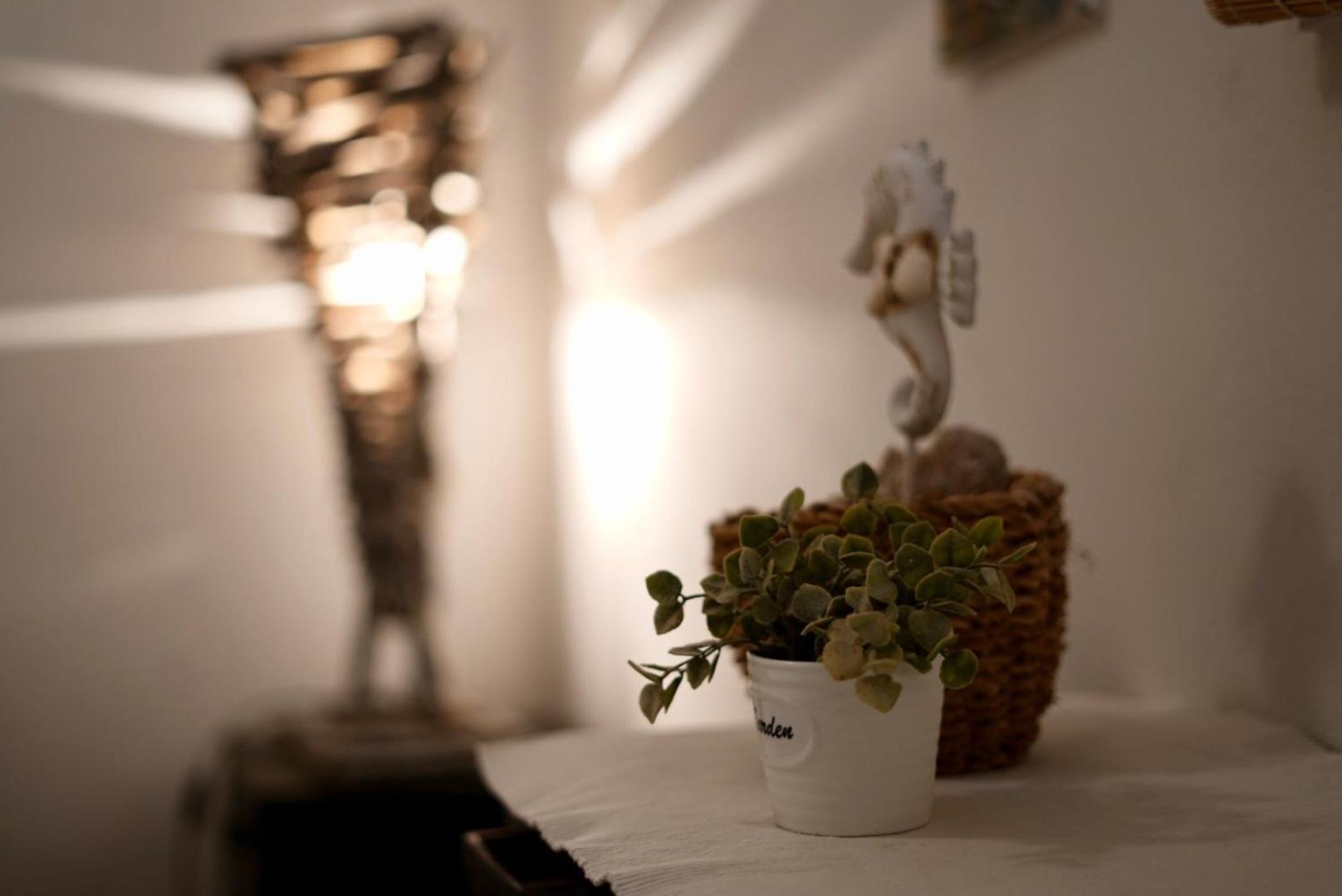 House Hvar Holiday home Zastrazisce